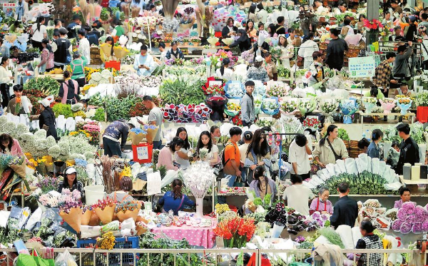 昆明斗南花卉市场消费火爆。记者 杨峥 摄