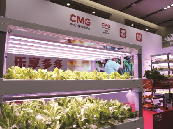             启动仪式现场，第三届多多农研大赛的种植装置亮相展台  赵歌  摄          