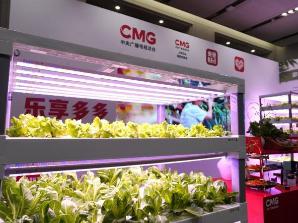 启动仪式现场，第三届多多农研大赛的种植装置亮相展台。赵歌 摄