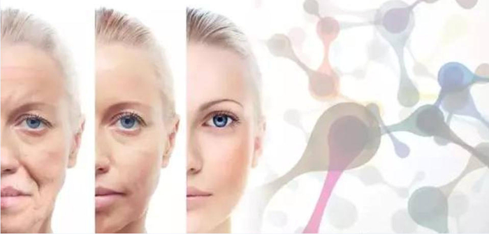 图片源于网络  图文无关  