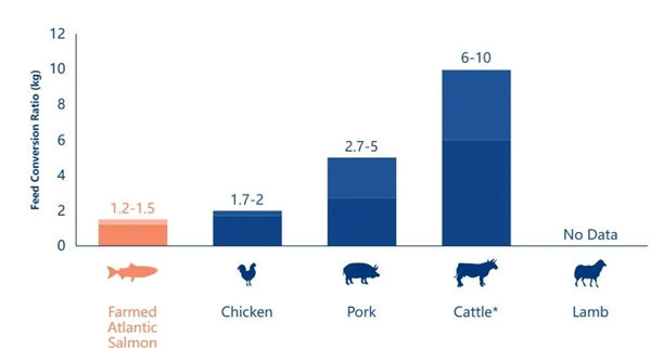 　　主要养殖物种的饲料转化率（FCR/kg）（数据来源：globalsalmoninitiative.org）