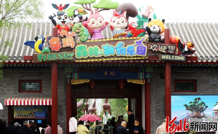 辛玛森林动物乐园——幸福“雄安娃”亲近自然、乐享假日的开心乐园。河北新闻网记者刘光昱摄