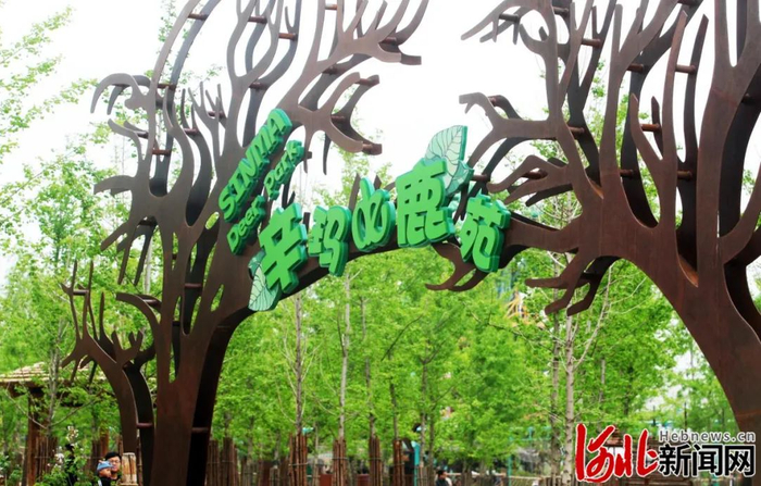 辛玛森林动物乐园。河北新闻网记者刘光昱摄