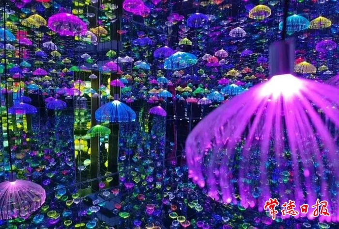 桃花源景区梦幻星空馆