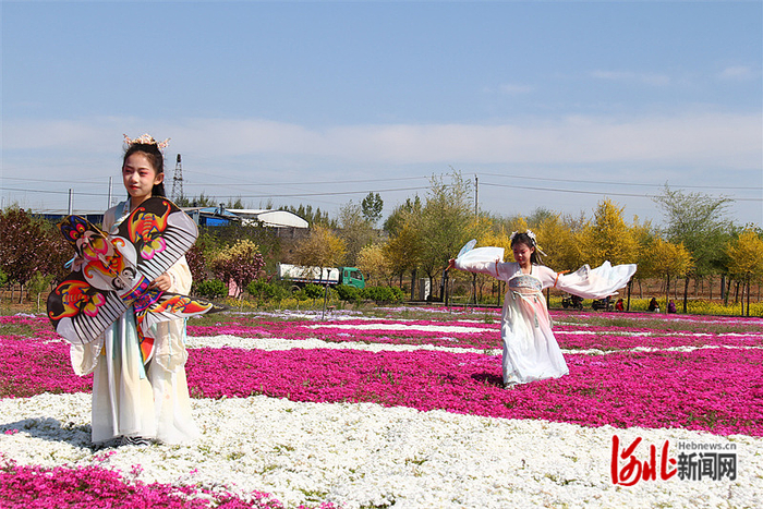 小学生在复兴区德丰生态园芝樱花海研学旅行。 通讯员付强摄