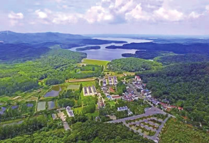 椒岭风景线上的石沛镇依山傍水，高达65%的林木覆盖率使之成为“天然氧吧”。沈果/摄