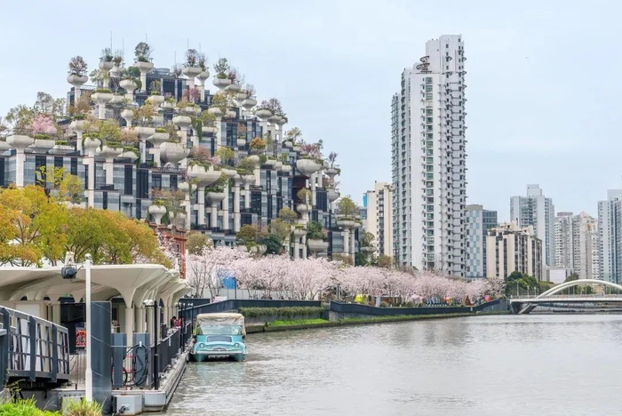 千树将推出苏河游船联票