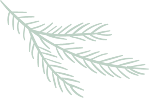 最近微信的推送规则又发生了变化，建议大家都把我们公众号标上小星星，这样就不会错过我们每天的精彩内容了哦~~