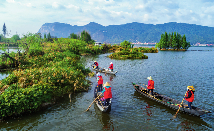 巾帼打捞队队员在滇池草海打捞水草（2023 年3 月20 日摄）  陈欣波摄/ 本刊