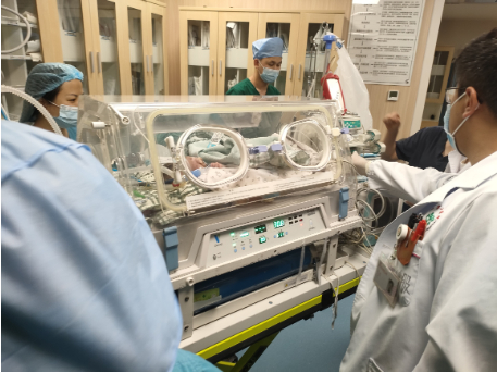 ▲暖箱里的新生儿