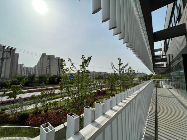 现在的潘泾路。 吴越 摄