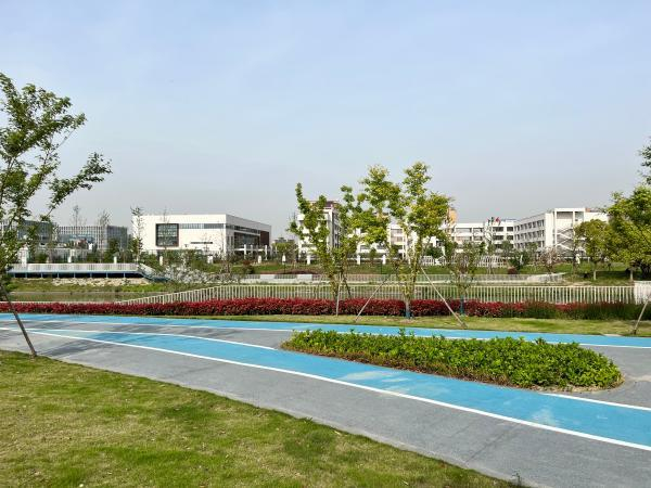 河道整治后，潘泾西侧为绿地，东侧为顾村科技园学校。 吴越 摄