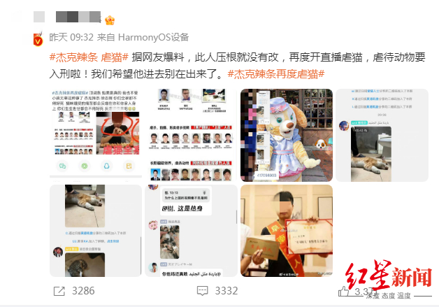 ↑网友爆料称徐志辉再度开直播虐猫