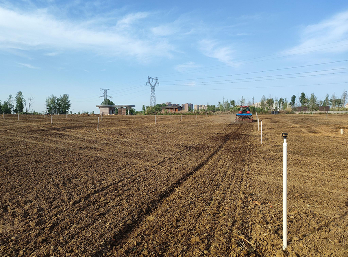 ▲青龙湖耕地项目正在播种