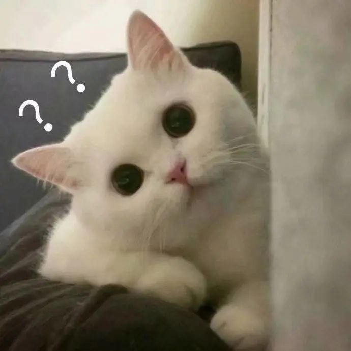 蓝莓的营养价值与功效