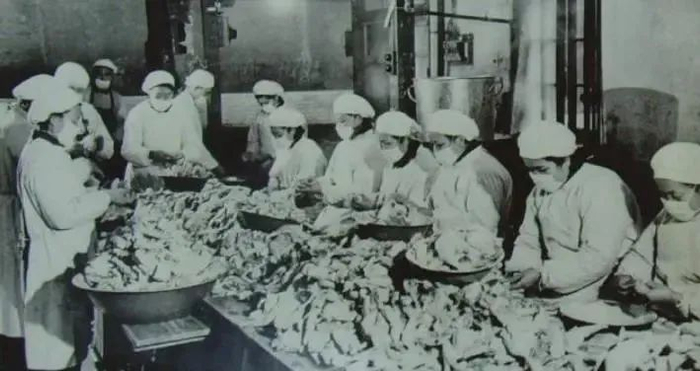 1950年代，梅林厂工人们在处理鸡肉