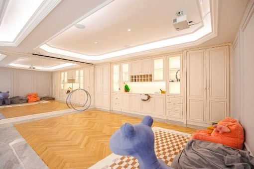 许多大宅地下空间使用慧科技三恒系统