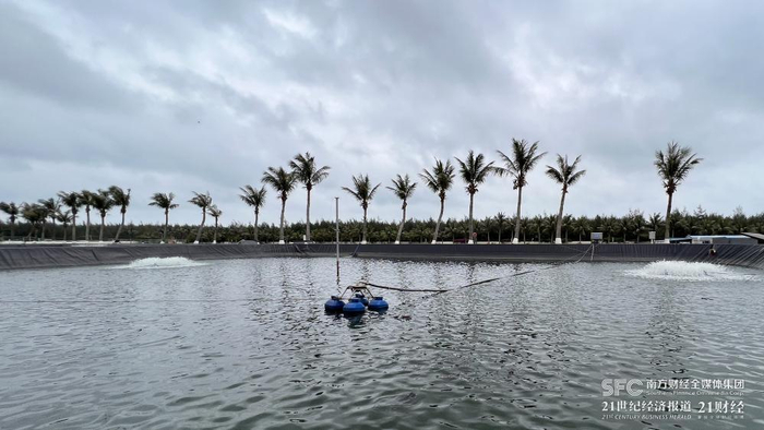 （国家863计划项目海水养殖种子工程南方基地，郑玮/摄）