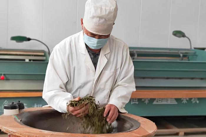 71岁的张国庆在灵寿县漫山村茶园炒制茶叶。（摄/灵寿县委宣传部白云飞）