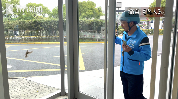 王计兵和撞玻璃的麻雀