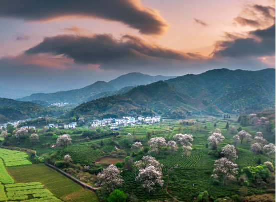 （来源：看头条网）