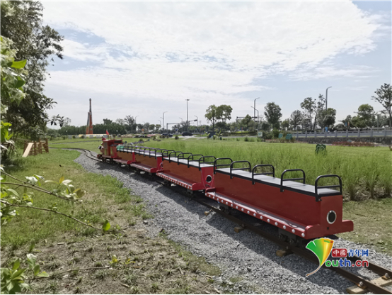 徐家埭村棒球基地。中国青年网记者 侯倩倩 摄