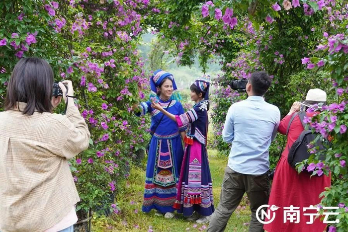 网络名人漫步在花海中。