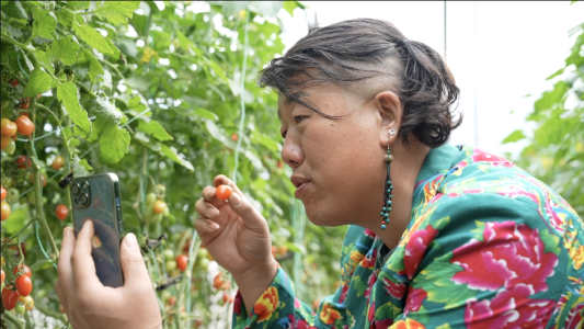 ▲身着女款上衣、梳着辫子、戴着大耳环的郭从锋经常直播售卖小番茄。薛童| 摄