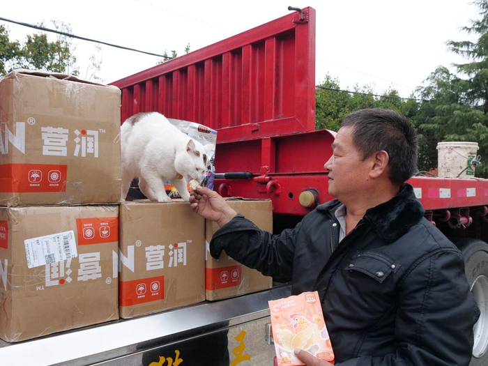 （来源：看头条网）