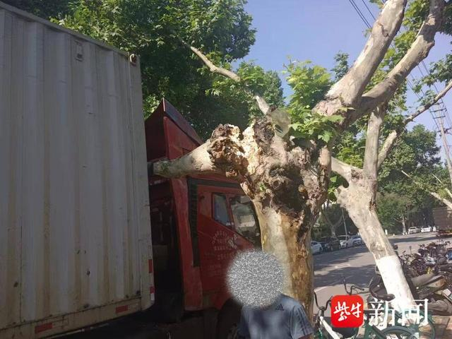 图为厢式货车撞上大树