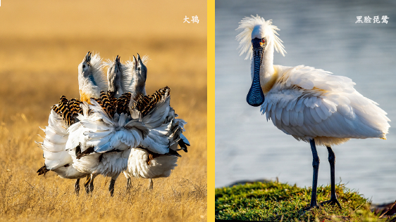 梅永存摄/ 本刊