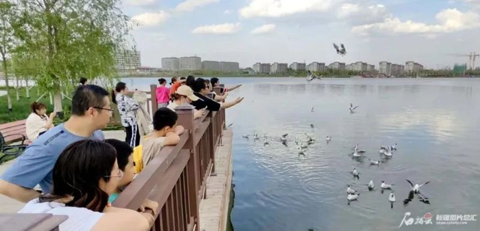 5月14日，游客在塔城市千泉湖观赏水鸟。范春海摄