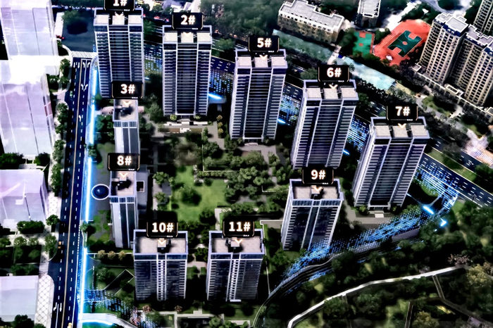 （项目沙盘展示图）