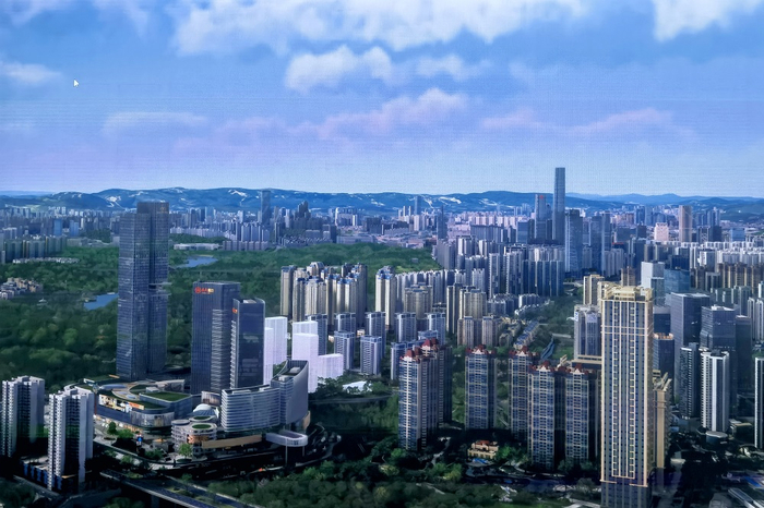 （项目效果图）