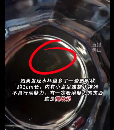 图片来源：抖音视频截图