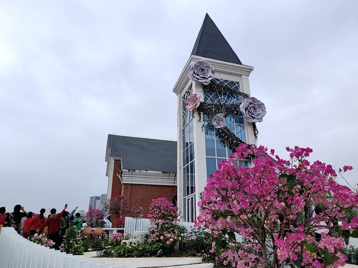 德阳市第二届市花月季展。 周玉琴 摄
