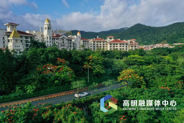 碧桂园凤凰酒店。高则明/摄