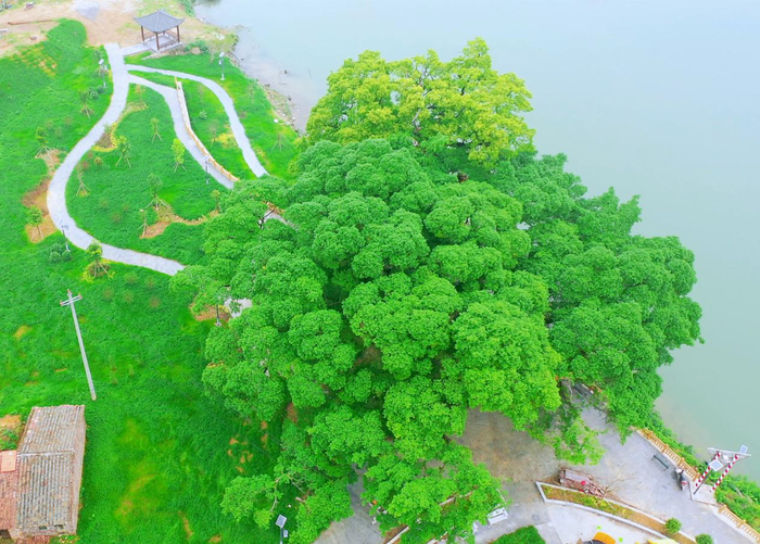 △西河镇糖寮村麦屋码头公园。