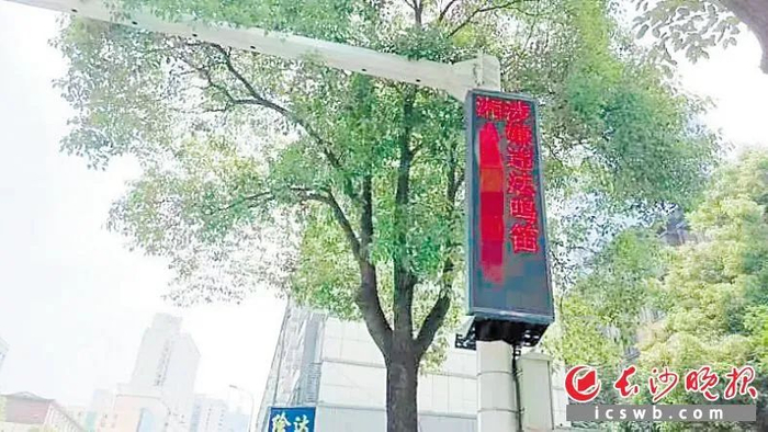 电子屏显示违法鸣笛的车辆牌号。