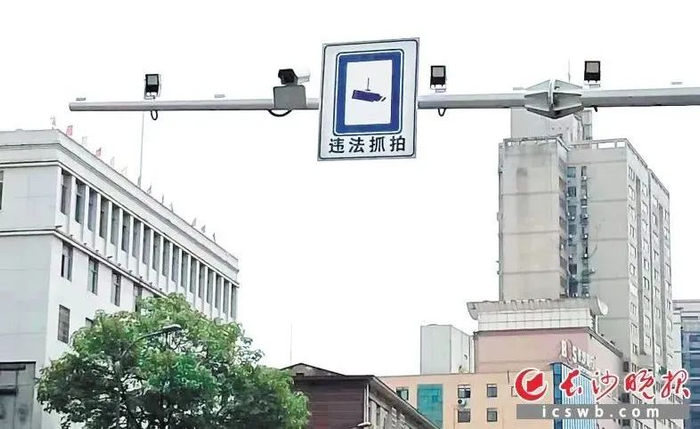 八一路大同小学路段挂有违法抓拍的标志。