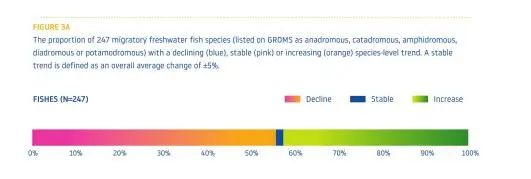 图1 1970年至2016年洄游淡水鱼类数量现状