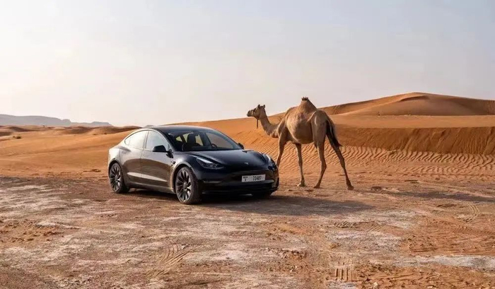 ▲&nbsp;图源：特斯拉官方