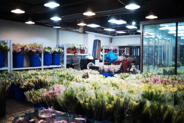 2020年的虹桥古玩城董天晔 摄