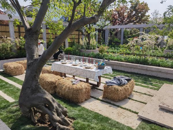 在虹越花卉世界花园大会上展示的植物与生活场景的融合