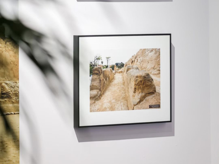 文化展展出作品。主办方供图