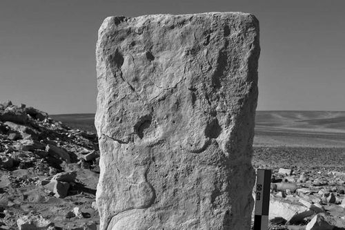 ▲约旦发现的一块刻有“沙漠风筝”图案的石碑。