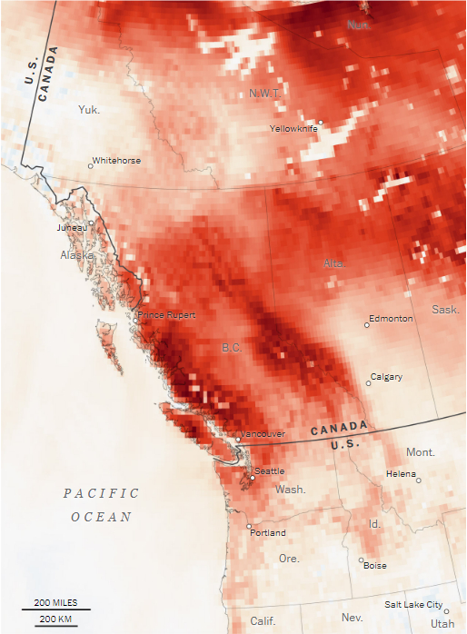 图片来源：《华盛顿邮报》