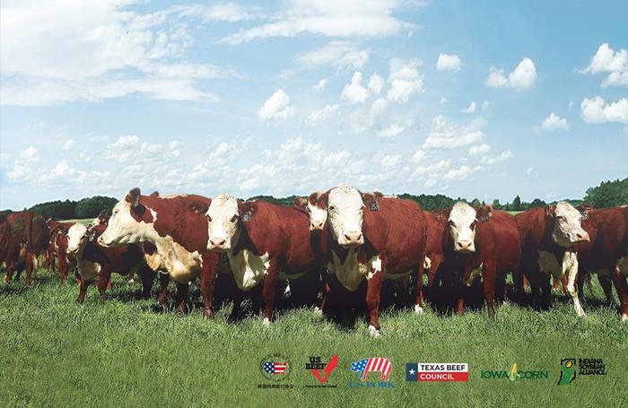 图：符合严格环境可持续标准的美国草地和牛养殖