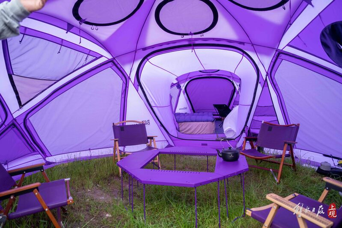 郑汀的紫色系“一室一厅”。孟雨涵 摄