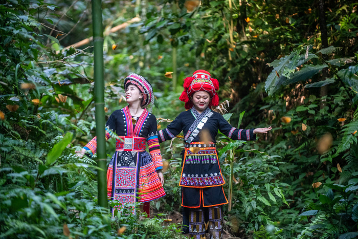 2021年5月20日，两名女子在中国·红河蝴蝶谷观赏蝴蝶。新华社记者 胡超 摄